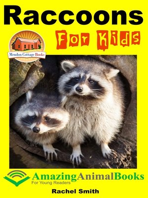 cover image of Raccoons For Kids